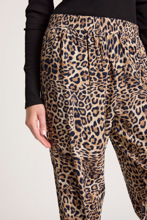 Bajau Pant - Willow Collective Mudgee